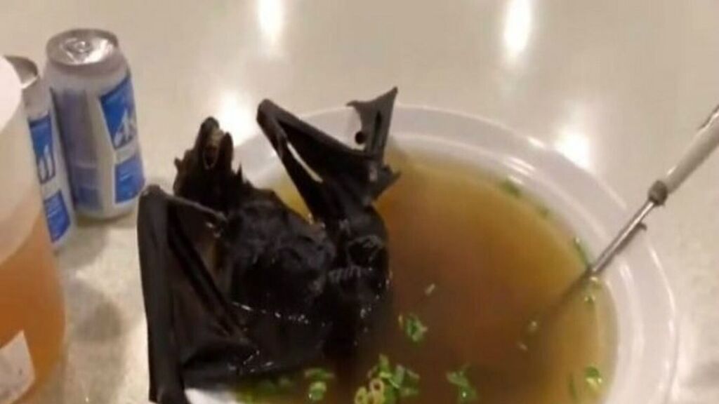 Mundo enfermo y triste: El video del pez angelote cocinado vivo que está causando indignación en internet