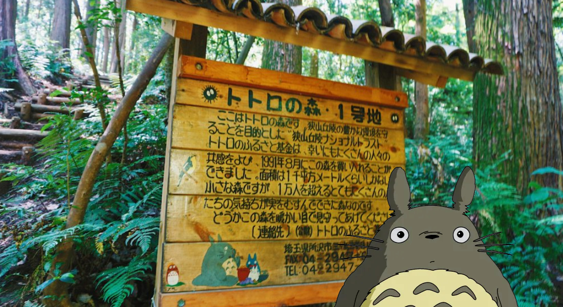 Bosque Totoro