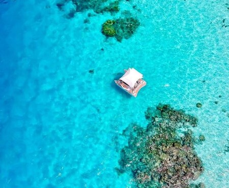 Maldi