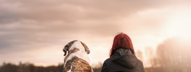 Viajar con mascotas: los destinos más 'dog friendly' del mundo