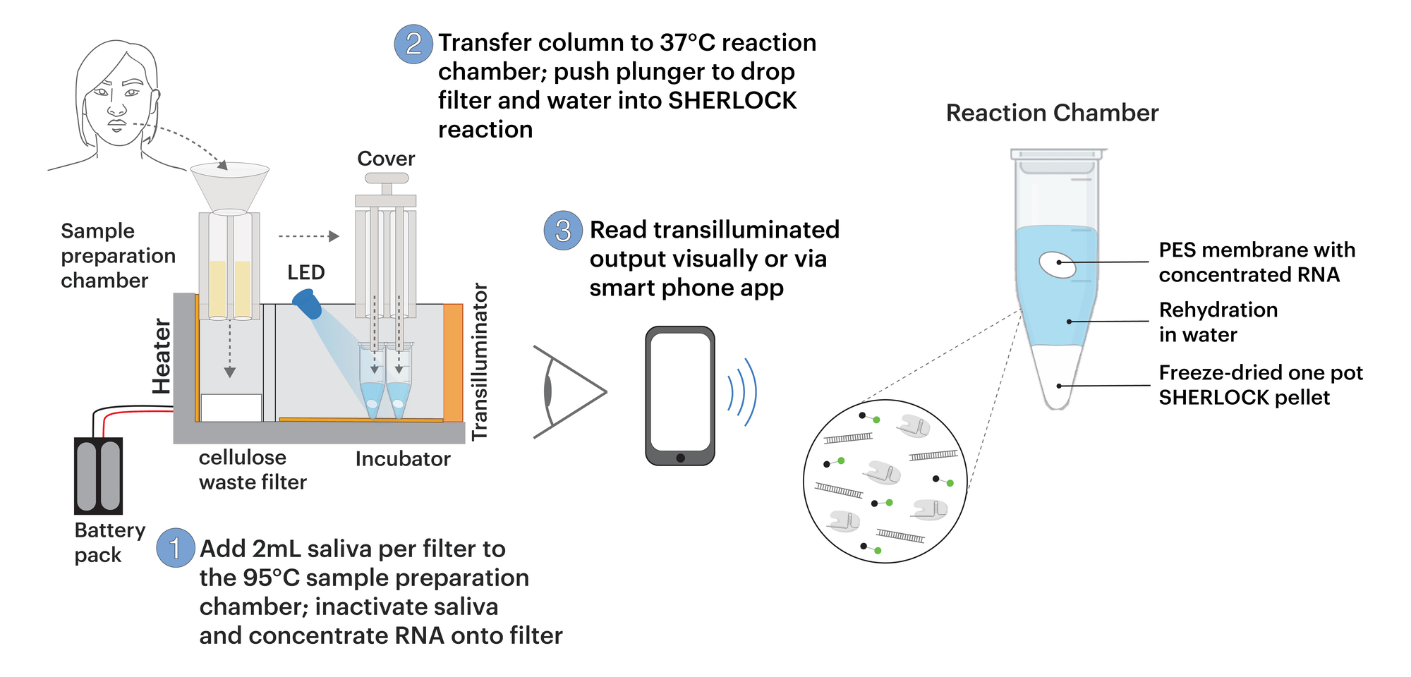 Test de drogas cuánto tiempo detecta