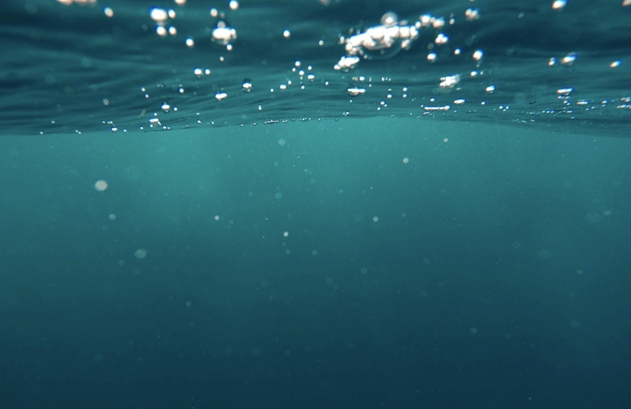 Las profundidades del Océano 