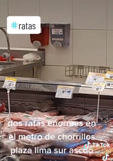Video: Captan a dos ratas gigantes en un supermercado de Lima