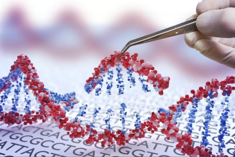 genes genética ADN edición genética