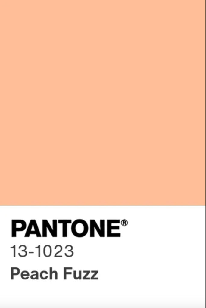 peach-fuzz-color-del-ano-2024-pantone-que-es-decision-historia-3