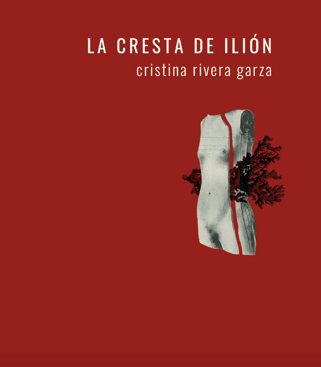 Los mejores libros de Cristina Rivera Garza.