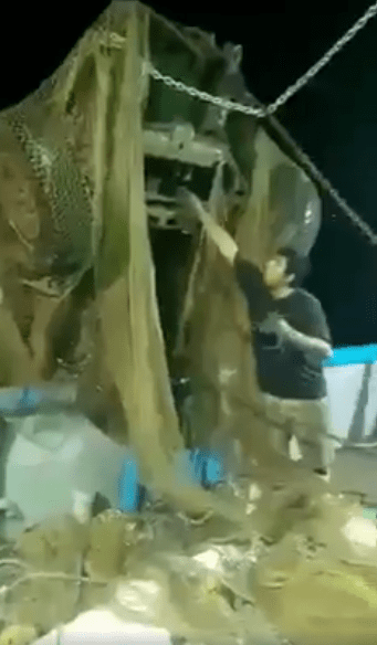 Un barco camaronero de Mazatlán "pescó" un auto con sus redes