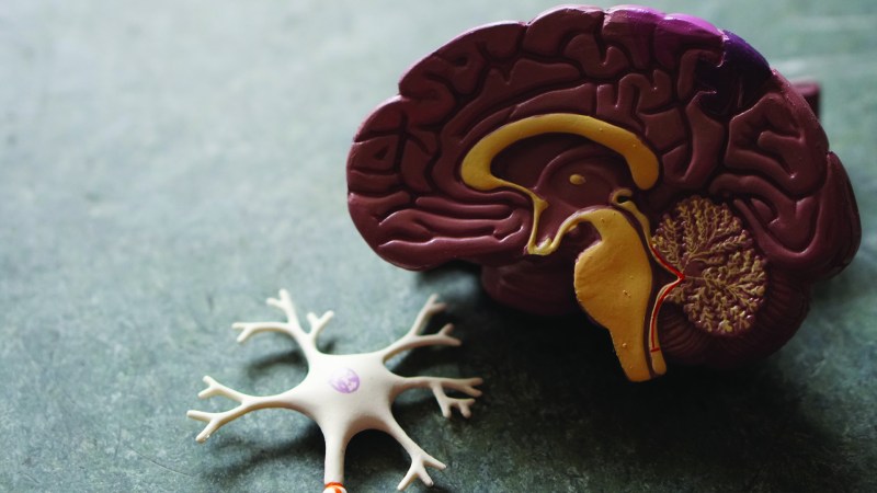 infarto cerebral Asocian COVID-19 con un aumento de biomarcadores del alzheimer en sangre. Foto de Robina Weermeijer para Unsplash