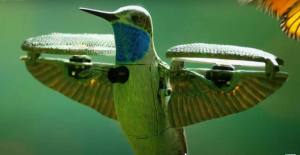 Dron (en forma de colibrí) capturó el vuelo de mariposas monarcas