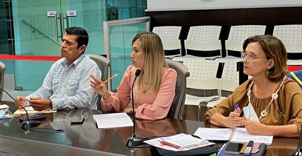 regidora reynosa denisse ahumada