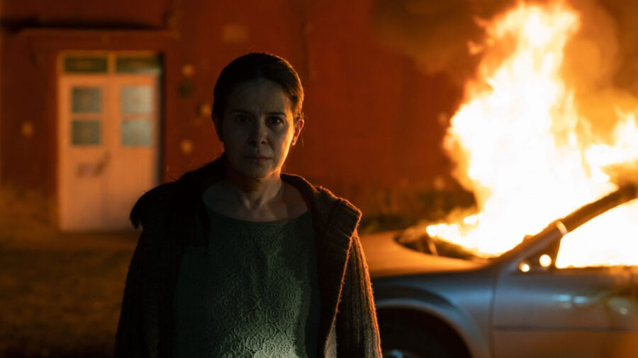 Ariel 2023: ¿Dónde ver las películas nominadas a lo mejor del cine mexicano?