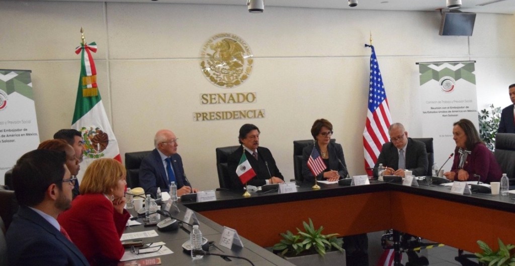 lucia trasviña senadora morena 1