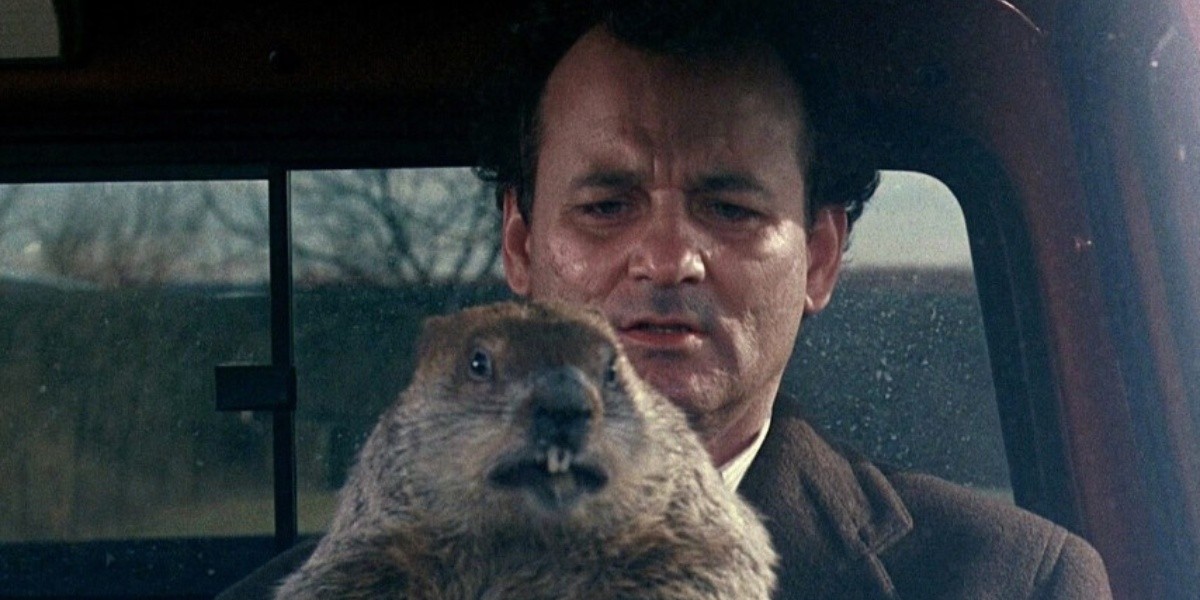 dia-marmota-estados-unidos-que-es-como-funciona-calor-frio-sombra-madriguera-historia-1
